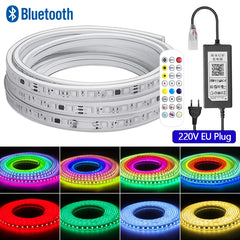 SILICONE LED STRIP LIGHT KIT USE FOR LIGHTING 1-50M RGBIC Led Strip Light 110V 220V 60Leds/m Smart Bluetooth Remote Control Waterproof IP67 Dream Color Flex Tape Strip Lamp
